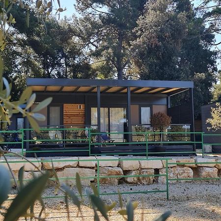 Luxury Mobile Homes Ivaci Rovinj Extérieur photo